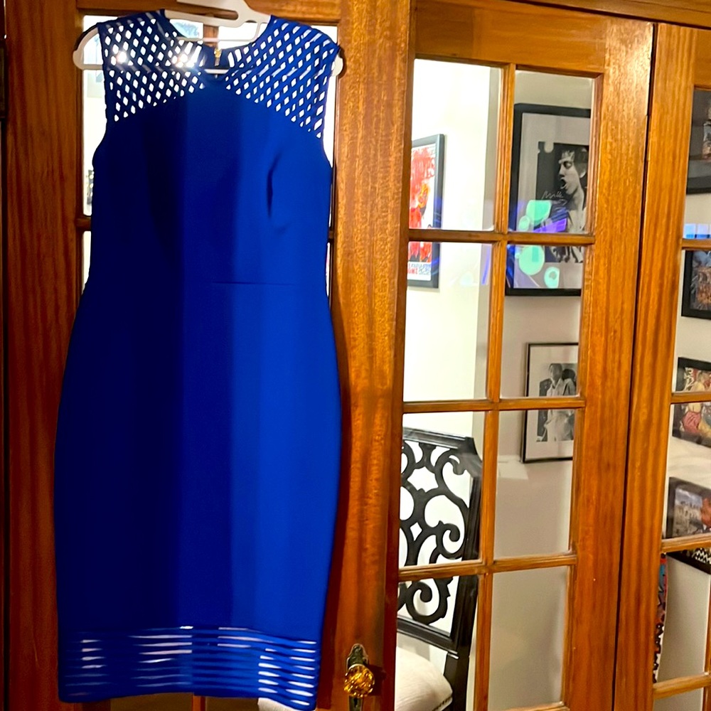❤️ TED BAKER 3. ❤️ USA 8 ❤️ Worn ONCE & Dry Cleaned. ❤️ Royal Blue PERFECTION